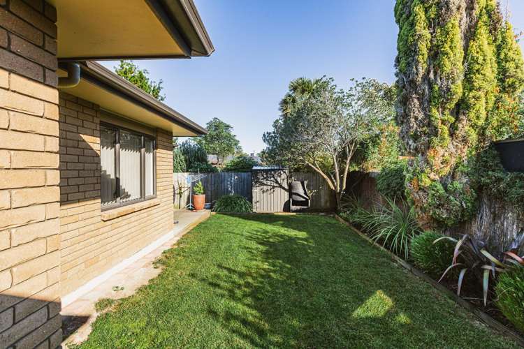 21a Park Road Greenmeadows_13