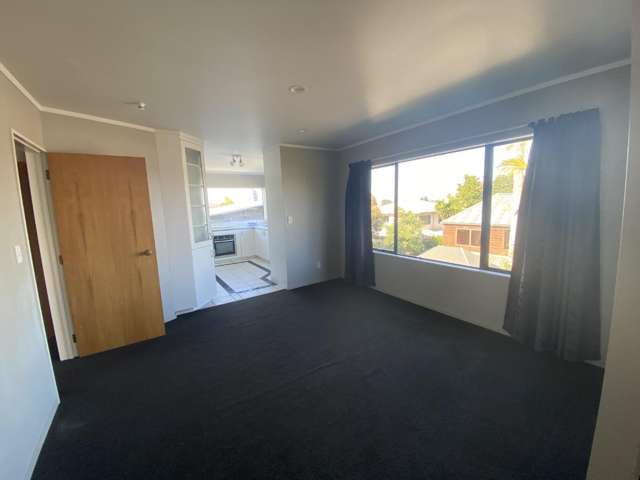 49c Carey Street Maeroa_3