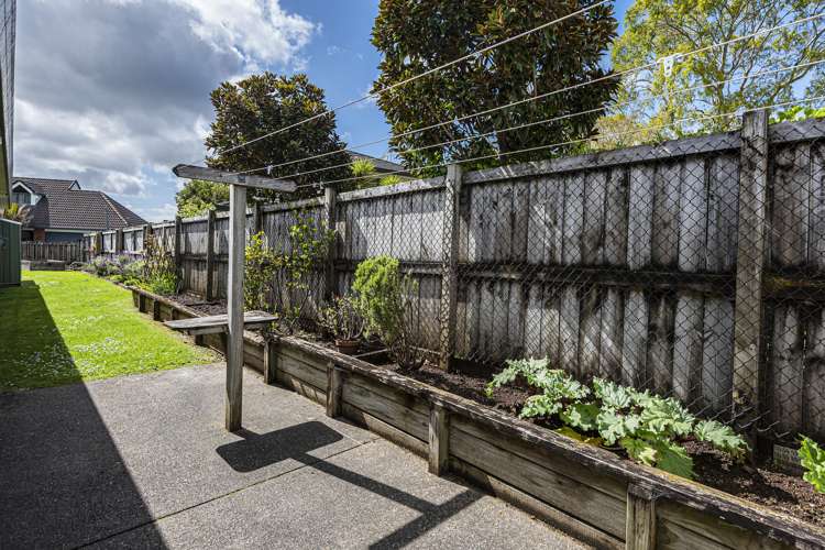 4 Oxford Avenue Kamo_21