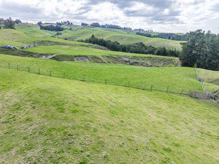 58 Flag Range Road Sherenden_22