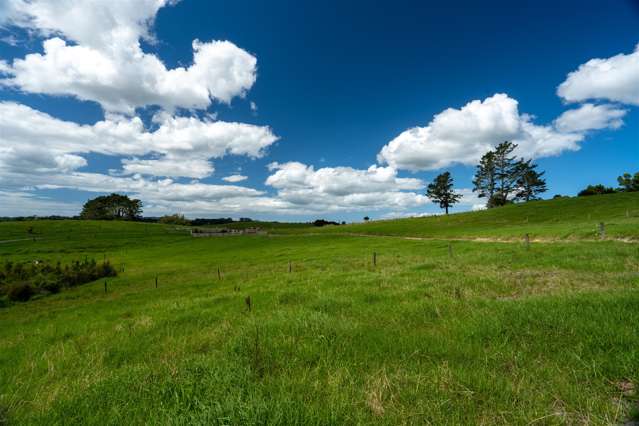 1371 Ruapekapeka Road Kawakawa_4