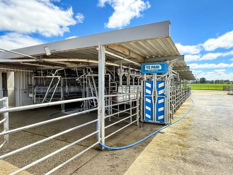 545 Coal Pit Wyndham_12