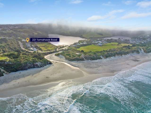 221 Tomahawk Road Andersons Bay_1