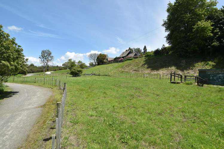 26 Hammond Street Hairini_28