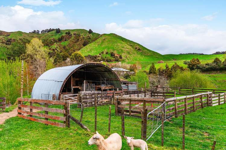 162 Okahukura Saddle Road Matiere_20