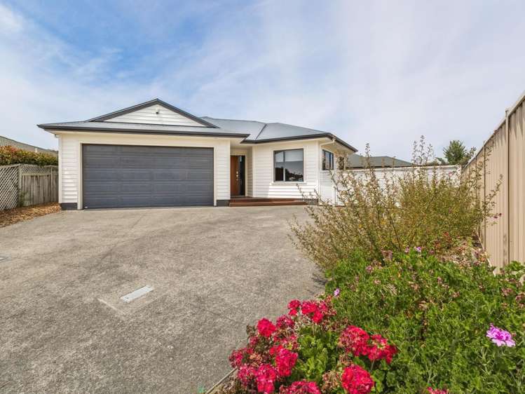 10 Scott Place Havelock North_13