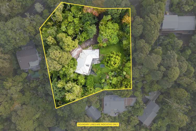 163 Konini Road Titirangi_17