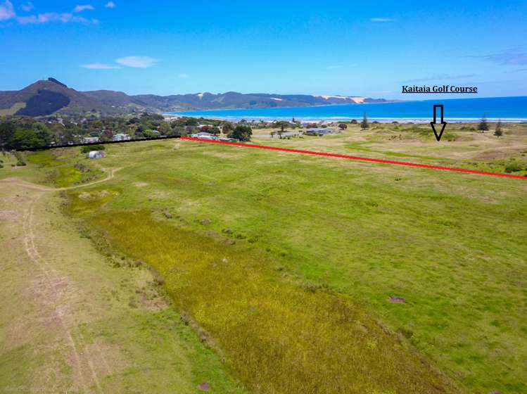 Takahe Street Masterton_0