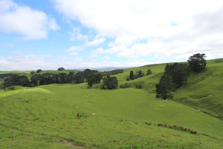 13151 Puketawa Road Tiraumea_18