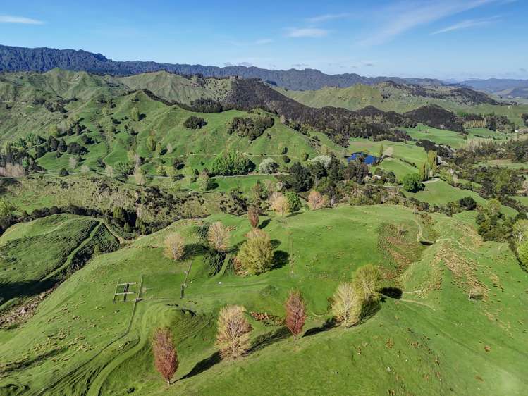 56 Makakahi Road Ruapehu-King Country Surrounds_17