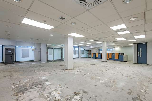 234 Ruahine Street Roslyn_3