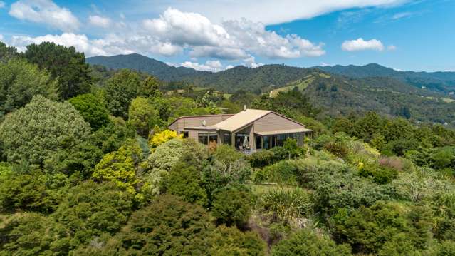 13 Pohue Creek Road Thames_2