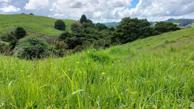 Lot/2 Wearmouth Road Paparoa_15