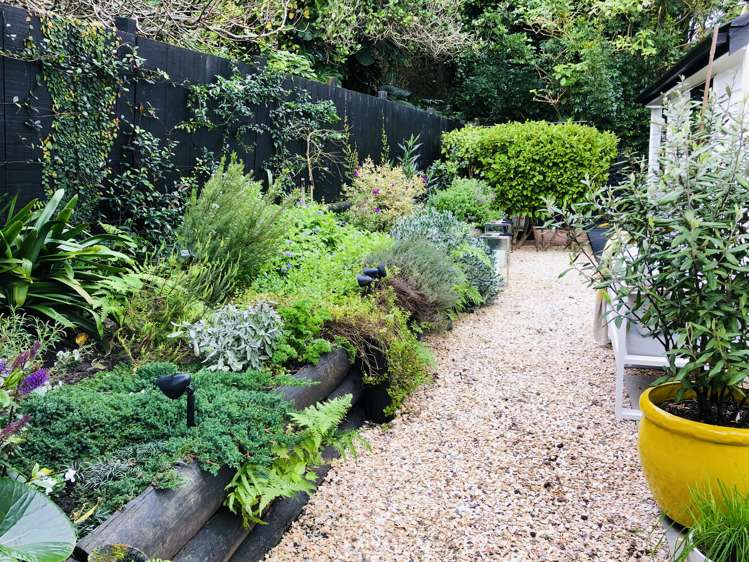 3/26 Queens Parade Devonport_32