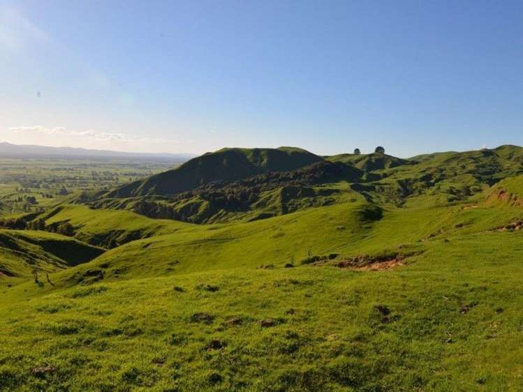 153 Hill Road Te Aroha_12