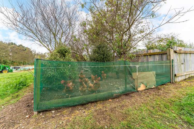 32 Richmond Road Richmond_19