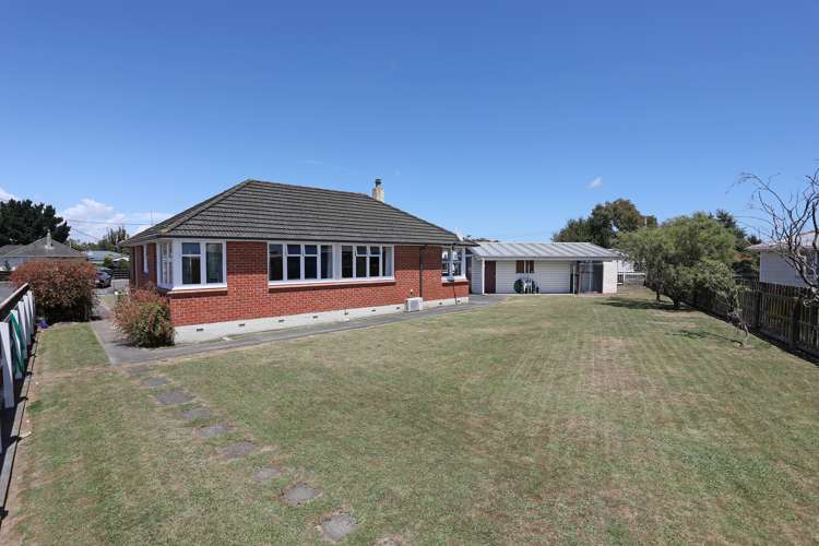 11 Ward Street Bulls_10