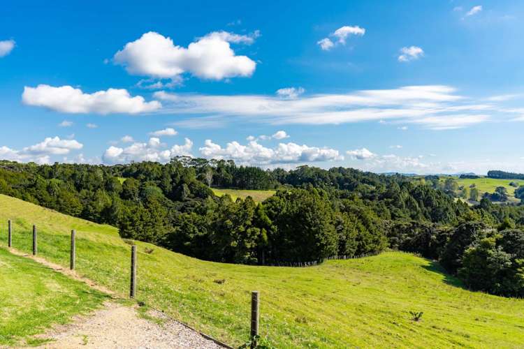 205 Cemetery Road Te Arai_26