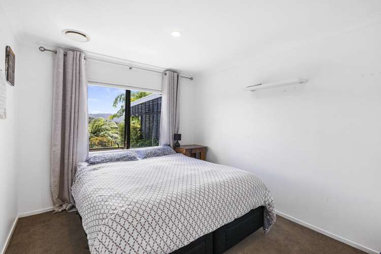 2252 SH29 Lower Kaimai_12