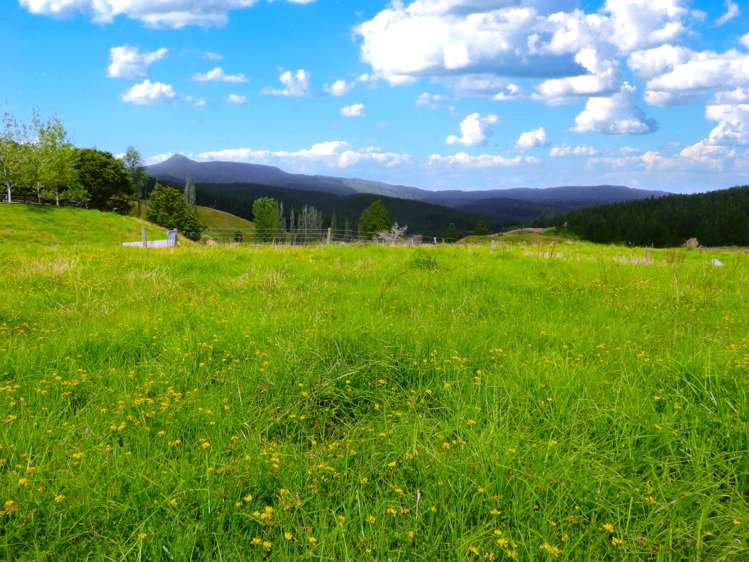 2218 Tangowahine Valley Road Dargaville Surrounds_17