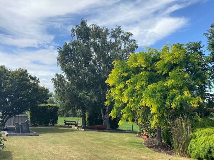 521 Te Aroha-Gordon Road Hauraki Surrounds_25