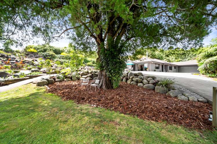 370 Tukapa Street Hurdon_17