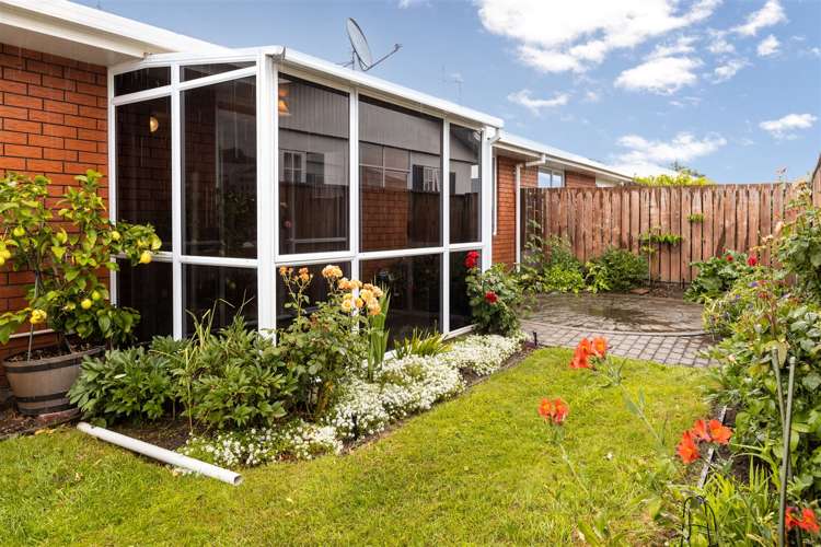 176 Weld Street Witherlea_5