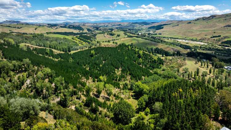 Lot 2, DP 524856, Raratu Road Kahuranaki_3