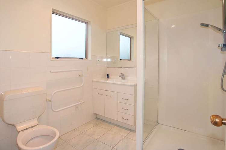 17e Cradock Street Avondale_16