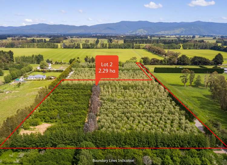 179 Bidwills Cutting Road Greytown_14