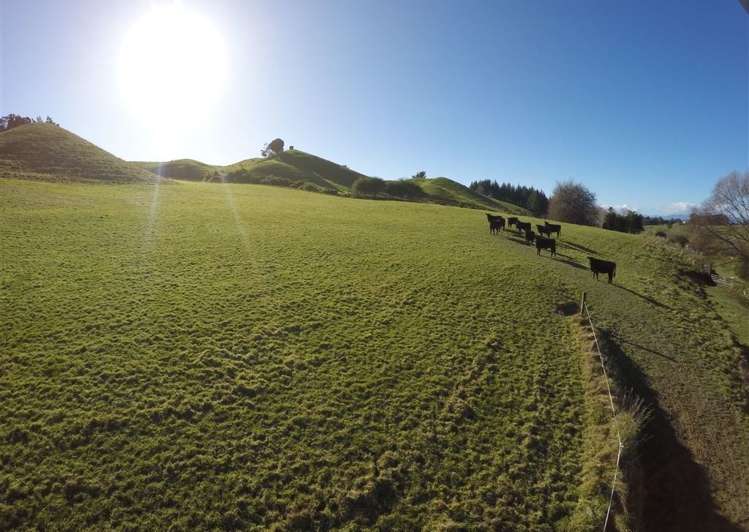 234 Rosedale Road Upper Moutere_23