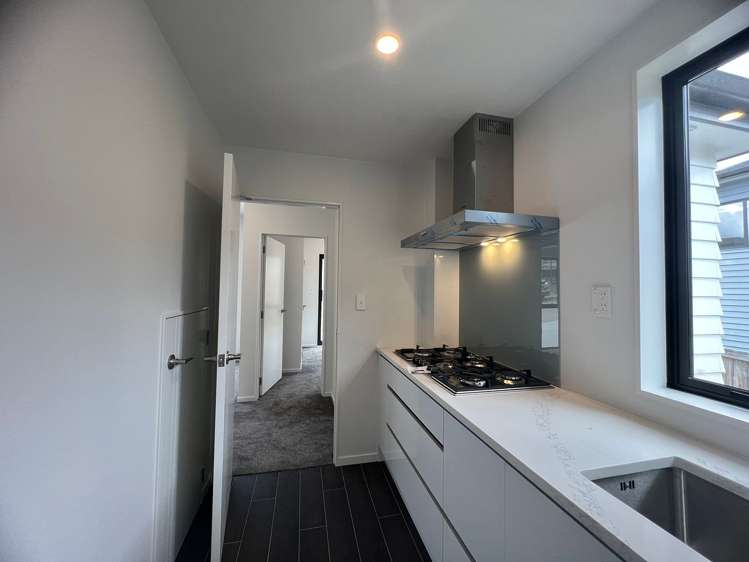 29a New Windsor Road Avondale_12