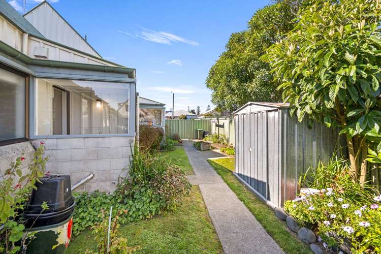 11/196 Vigor Brown St Napier South_18