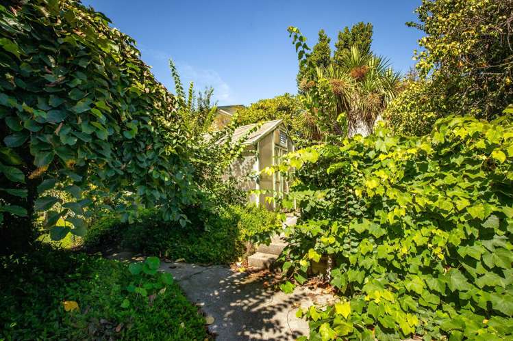 30 Beverley Hill Maori Hill_49