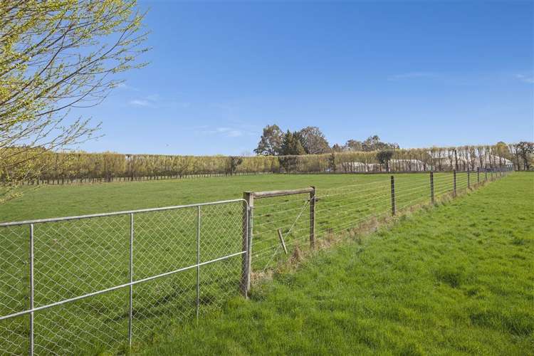 77 Raddens Road Ohoka_29