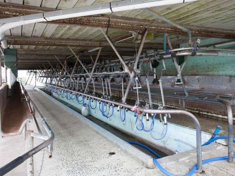 438 Waotu South Road Putaruru_27