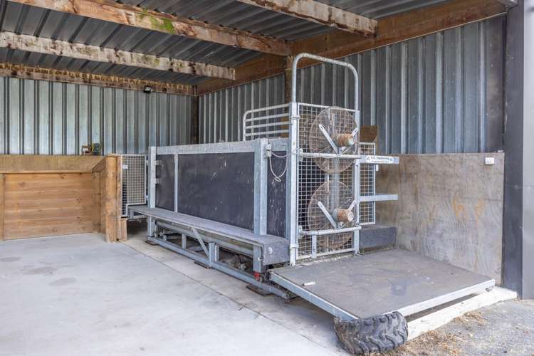 4602A State Highway 29 Matamata_16