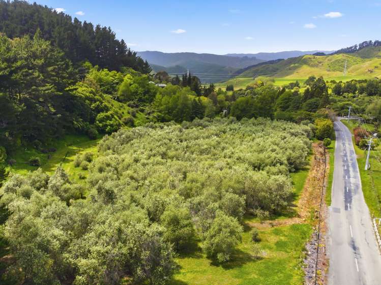 258 Waitohu Valley Road Otaki_43