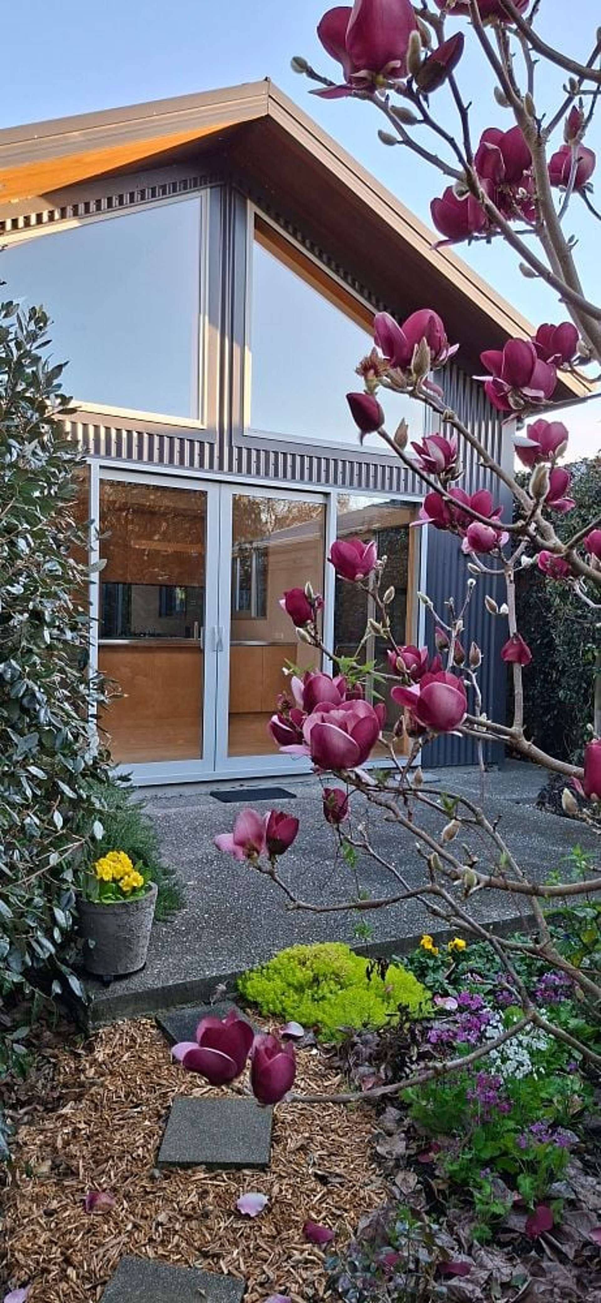 9 Pitt Street Maitai_0