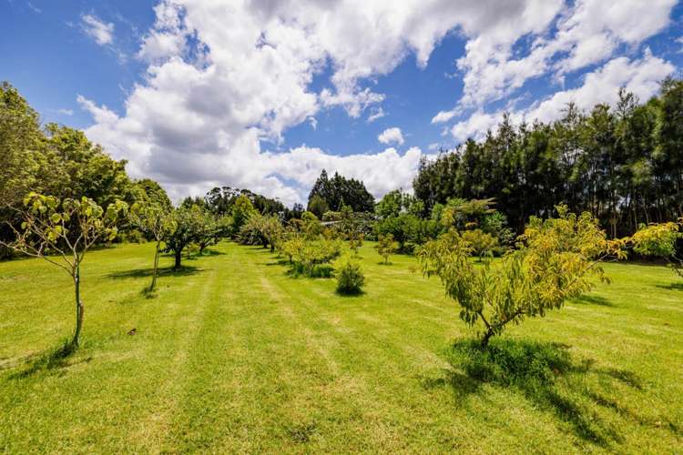 118 Wiroa Road Kerikeri_30