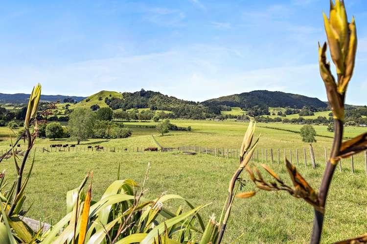 101 Guy Road Kaipara Flats_15