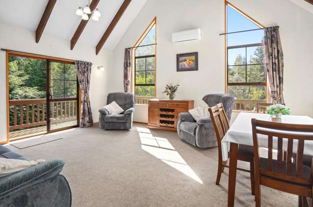 65 Chalet Crescent Hanmer Springs_3