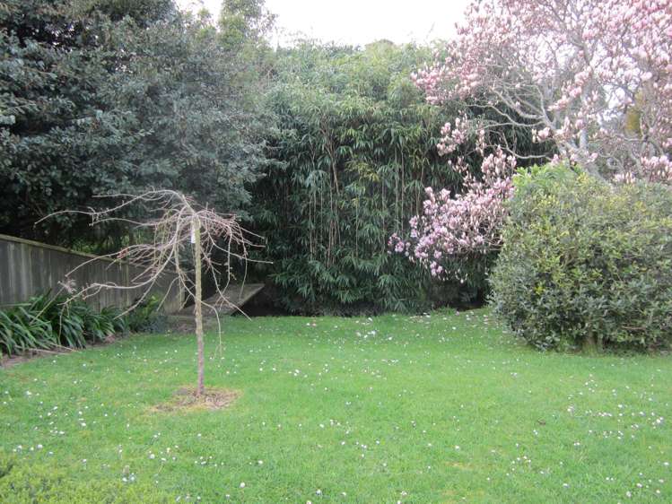 28a Dawson Street Pahiatua_14