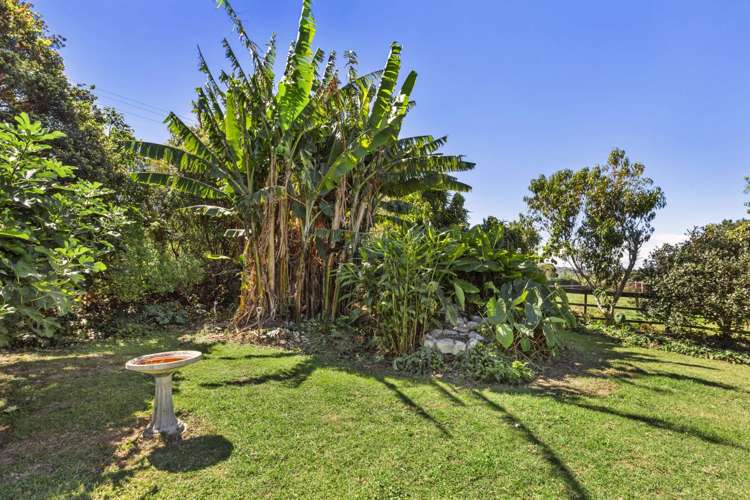 385a Wainui Road Raglan_18