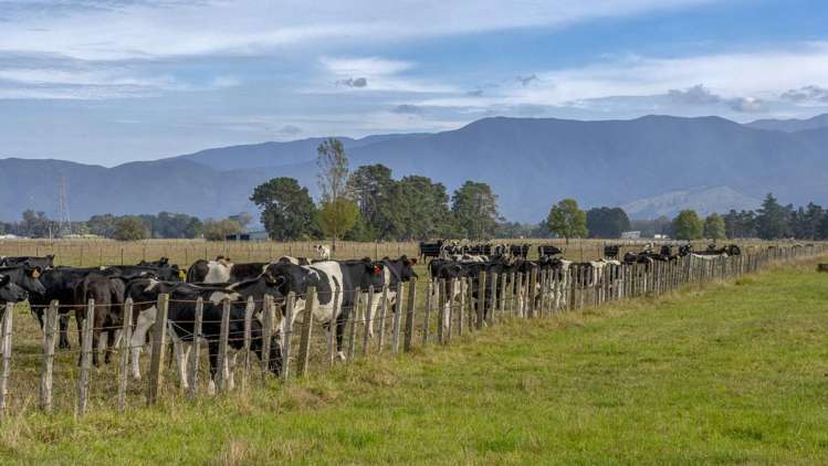 Cross Line Greytown_11