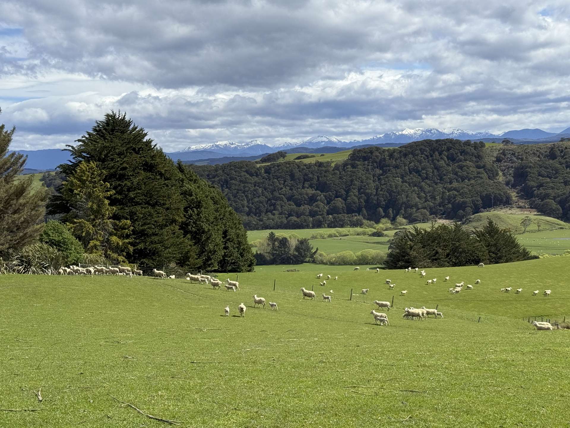 2207 Otautau Tuatapere Road Pukemaori_0