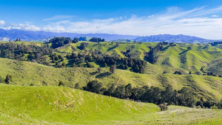 1139 Blackburn Road Ongaonga_6