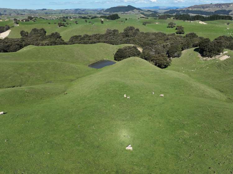 2829 Puketitiri Road Patoka_12