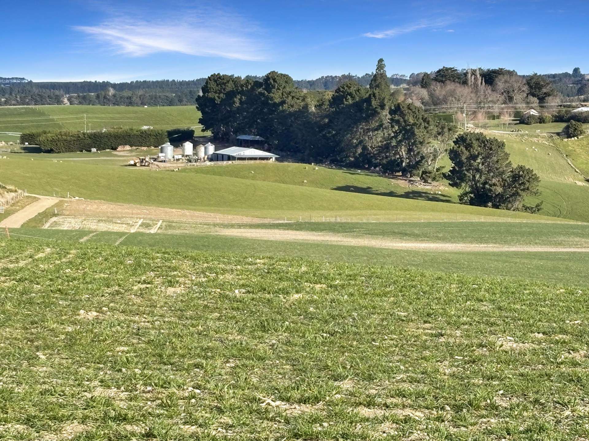 594 Tokarahi-Ngapara Road Ngapara_0