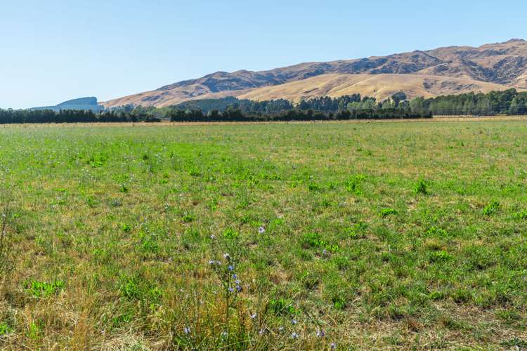 50 Jurys Road Waipara_18